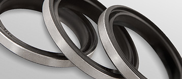 Phớt gạt nước FB